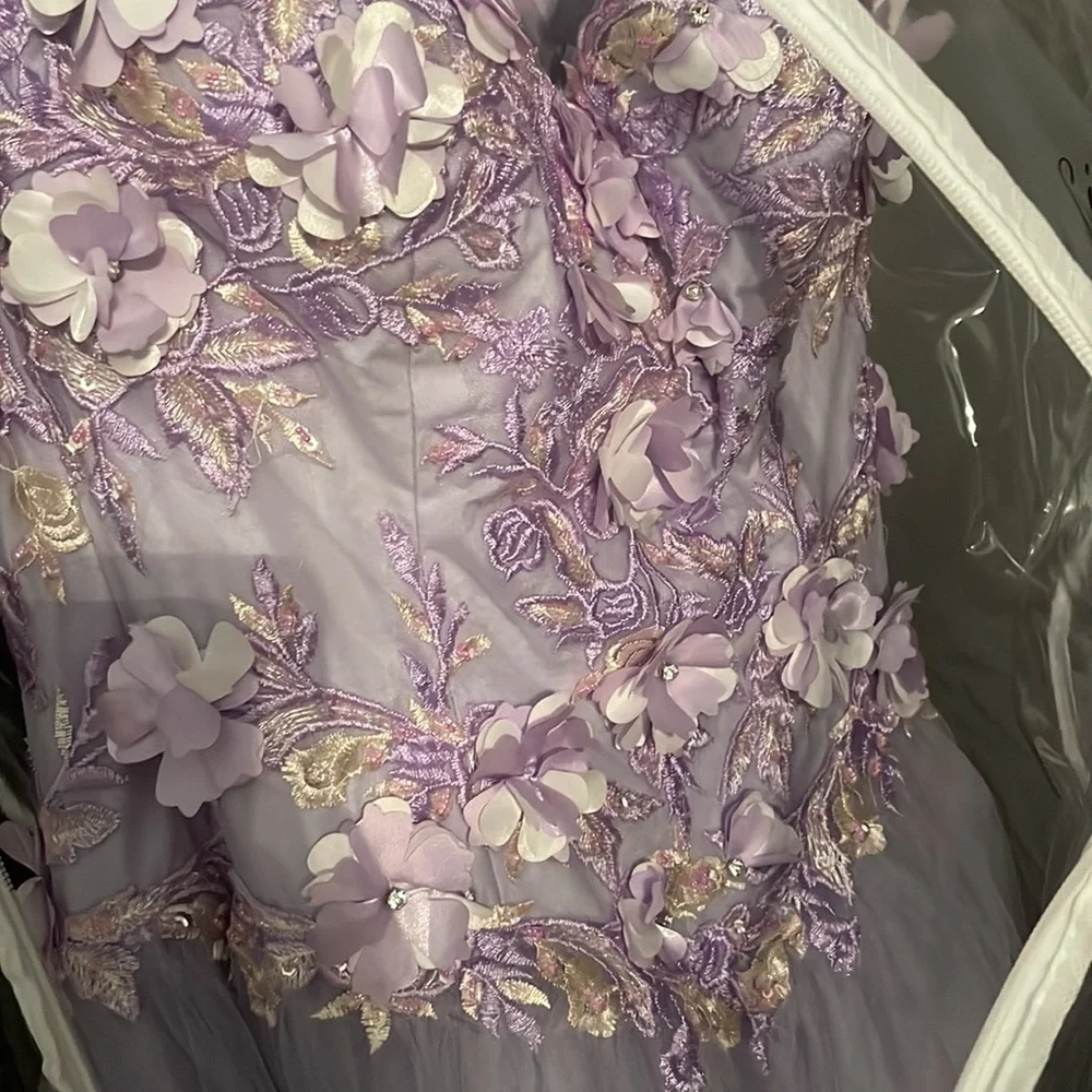 Stunning Lilac Quinceanera/ Prom Dress - Picture 5 of 8